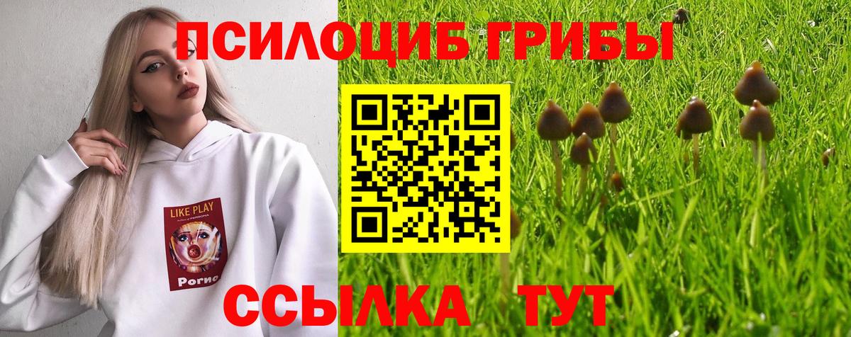 Галлюциногенные грибы Cubensis Балабаново
