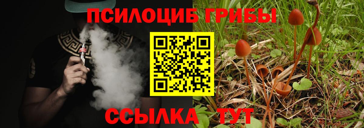 Балабаново  Псилоцибиновые грибы ЛСД  Вход с VPN 